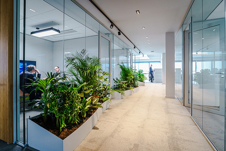 舊車庫(kù)改造成創(chuàng)新可持續(xù)總部辦公樓裝修設(shè)計(jì)實(shí)景圖 舊車庫(kù)改造成創(chuàng)新可持續(xù)總部辦公樓裝修設(shè)計(jì)實(shí)景圖